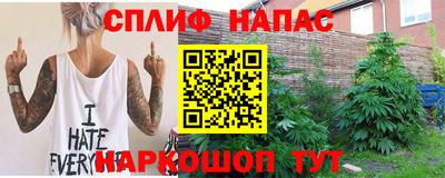 гидра Шебекино