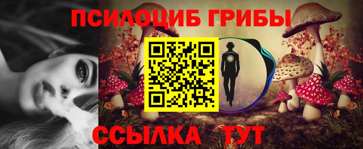 Алексеевка  что такое наркотик  Вход с VPN  Галлюциногенные грибы мухоморы 