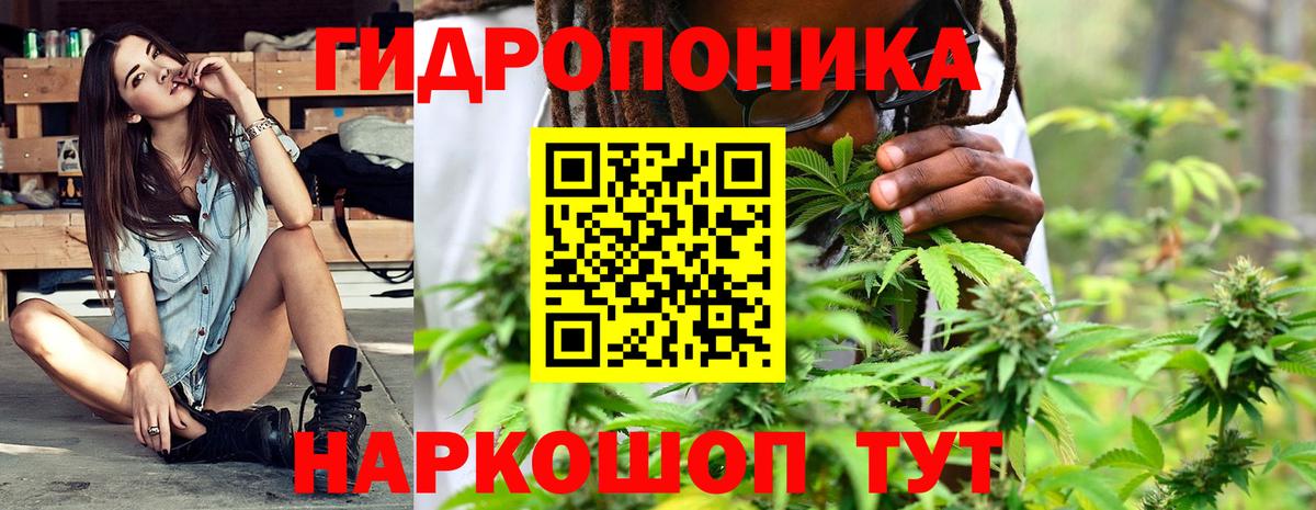 Марихуана план Алексеевка